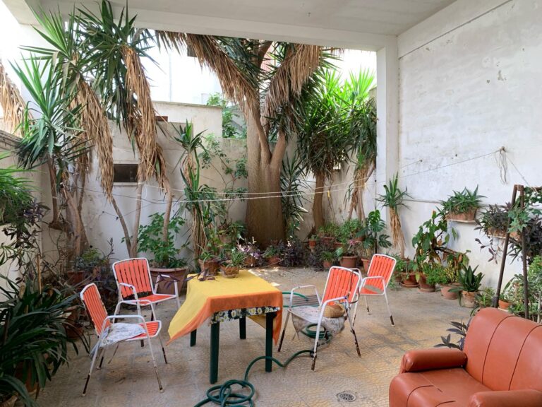 PHOTO-2024-02-16-19-50-34 17